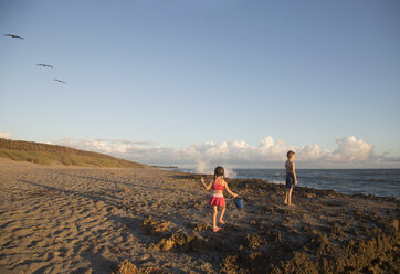 Mädchen und Bruder spielen am Strand, Blowing Rocks Preserve, Jupiter Island, Florida, USA - ISF09431