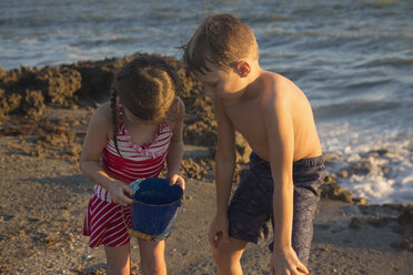 Mädchen und Bruder schauen am Strand in einen Spielzeugeimer, Blowing Rocks Preserve, Jupiter Island, Florida, USA - ISF09433