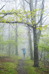 Rückansicht einer Frau mit Regenschirm bei einem Spaziergang im Shenandoah-Nationalpark, Virginia, USA - ISF09493