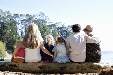 Rückansicht von Freunden der Familie, die auf einem Baumstamm am Strand sitzen, Neuseeland - CUF26054