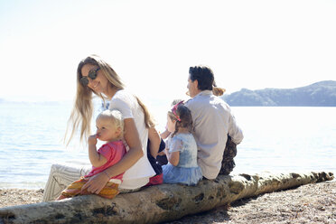 Familie und Freunde sitzen auf einem Baumstamm am Strand, Neuseeland - CUF26055