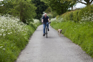 Senior man riding bike on country lane with dog - CUF26071