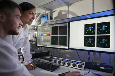 Scientists in laboratory using computer - CUF26393