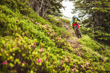 Junger männlicher Mountainbiker auf einem Waldweg - CUF26671