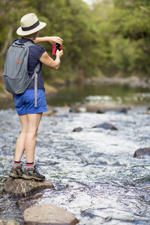 Wanderer beim Fotografieren, Waima Forest, Nordinsel, NZ - CUF26700