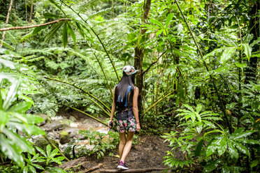 Rückansicht einer jungen Touristin beim Spaziergang im Dschungel, Manoa Falls, Oahu, Hawaii, USA - CUF27443