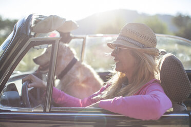 Mature woman and dog, in convertible car - CUF27547