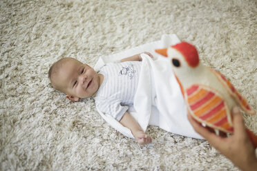 Happy baby boy looking at toy bird - CUF27794