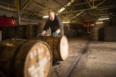 Arbeiter rollt ein Whiskyfass im Lager der Whiskybrennerei - CUF27967