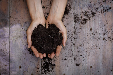 High angle view of cupped hands holding soil - CUF28213