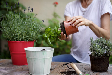 Mid section of mid adult woman potting plants - CUF28216