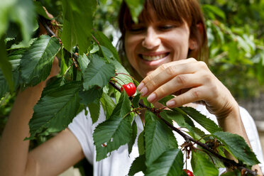 Mid adult woman picking cherry from cherry tree, smiling - CUF28229
