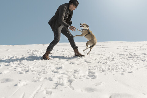 Man playing with dog in winter, having fun in the snow stock photo