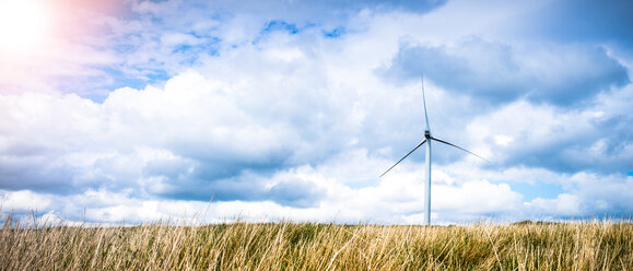 Panoramic view of long grass and wind turbine, UK - CUF28306