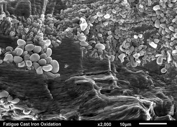 Gusseisen mit gebrochener Oberfläche: Ermüdungsstreifen unter Eisenoxidkorrosion, aufgenommen mit einem Rasterelektronenmikroskop - CUF28334