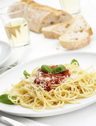 Plate of spaghetti al sugo di pomodoro - CUF28337