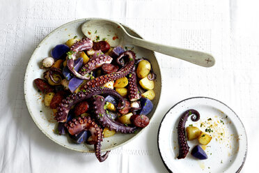 Bowl of octopus tentacles and potatoes - CUF28597