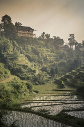 Elevated view of paddy fields at Longsheng terraced ricefields, Guangxi Zhuang, China - CUF28790