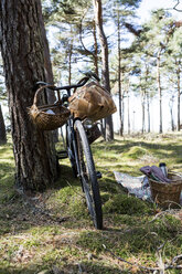 Fahrrad mit Futterkörben im Wald - CUF28803