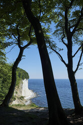 Deutschland, Mecklenburg-Vorpommern, Rügen, Sassnitz, Nationalpark Jasmund, Kreideküste - ELF01877