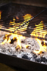 Barbecue grill - CUF29007