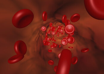 3D-Darstellung des Flusses der roten Blutkörperchen in einem Gefäß - CUF29019