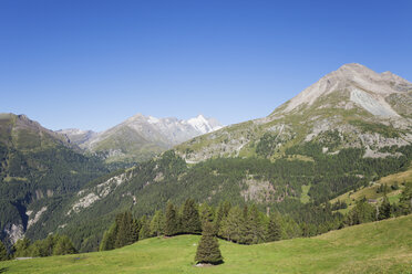 Österreich, Bundesland Salzburg, Großglockner, Nationalpark Hohe Tauern - GWF05528