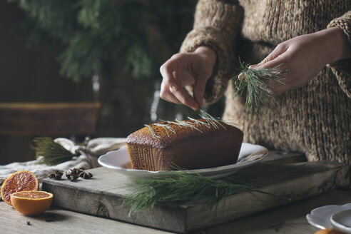 Woman's hands decorating homemade Christmas cake - ALBF00367