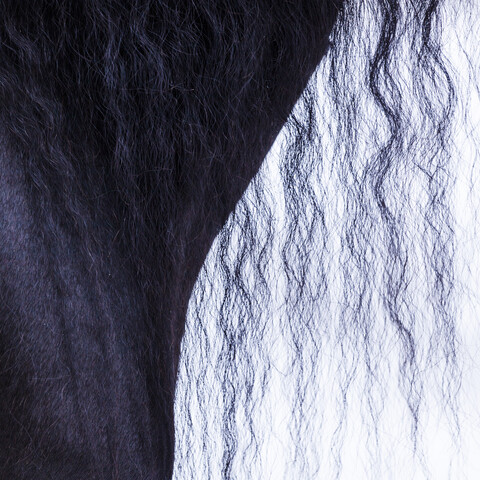 Detail of frisian horse, horse's mane stock photo