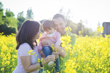 Mid adult couple with toddler daughter in field of yellow blossoms - CUF29259