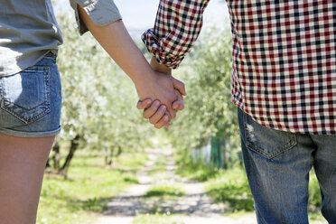 Abgeschnittene Ansicht eines Paares, das sich an den Händen hält und auf einen Feldweg schaut - CUF29640