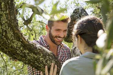 Young couple in tree face to face smiling - CUF29655