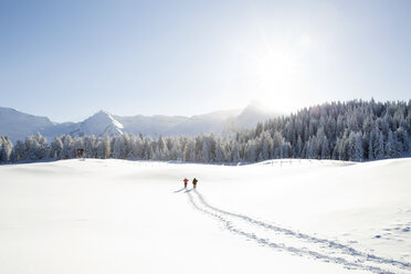 Schneespuren eines älteren Paares, das zu den Bäumen und der Bergkette läuft, Sattelbergalm, Tirol, Österreich - CUF29700