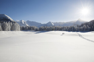 Bergkette, Bäume und älteres Ehepaar in der Ferne in verschneiter Landschaft, Sattelbergalm, Tirol, Österreich - CUF29701