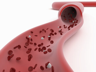 3D-Darstellung des Flusses der roten Blutkörperchen in einem Gefäß - CUF29929