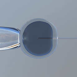 In-vitro-Fertilisation. 3D-Darstellung eines In-vitro-Klonierungstests - CUF29931