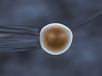 In-vitro-Fertilisation. 3D-Darstellung eines In-vitro-Klonierungstests - CUF29932