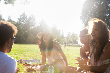 Erwachsene Freunde unterhalten sich bei Sonnenuntergang im Park - CUF30020