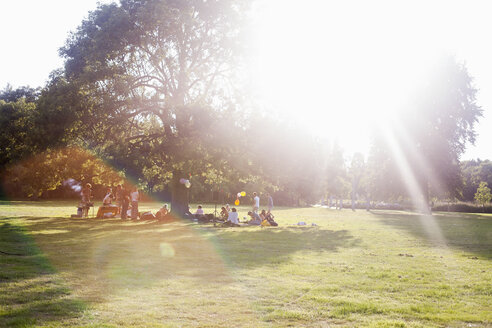 Erwachsene Freunde sitzen unter einem Baum bei Sonnenuntergang Party im Park - CUF30025