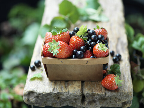 Erdbeeren und schwarze Johannisbeeren in einem alten Holzkorb, lizenzfreies Stockfoto