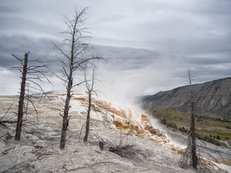 Heiße Mammutquellen und Terrassen von Kalkablagerungen, Yellowstone National Park, Wyoming, USA - CUF30437