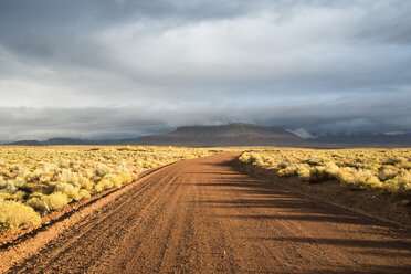 Trockene Landschaft, Virgin, Washington County, Utah, USA - ISF09606