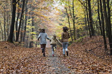 Mädchen laufen im Herbstwald - CUF30521