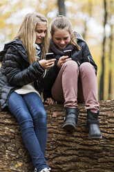 Girls using smartphone on tree trunk in autumn forest - CUF30526