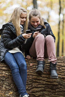 Mädchen benutzen Smartphone auf Baumstamm im Herbstwald - CUF30526