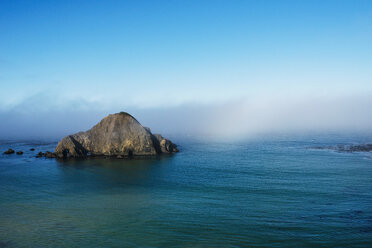 Insel und Morgennebel, Elch, Mendocina Kalifornien, USA - CUF30699