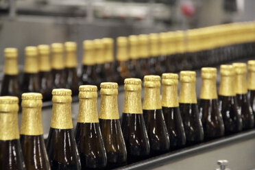 Bierflaschen auf einem Förderband in einer Brauerei - CUF30710