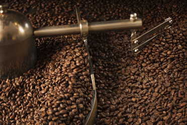 Close up of coffee beans in coffee grinder - CUF30761