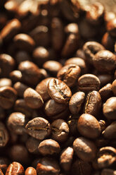 Close up of coffee beans - CUF30762