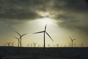 Windkraftanlagen vor bedecktem Himmel, Ayrshire, Schottland - CUF31040